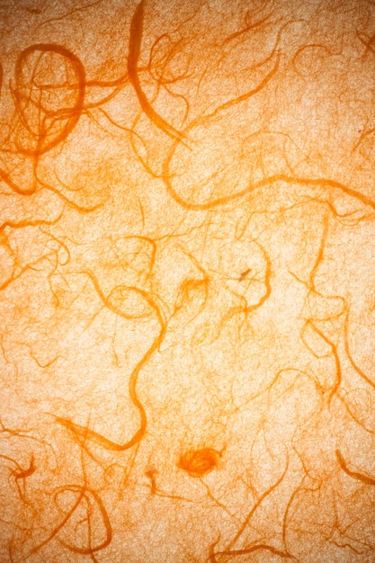 Orange mulberry paper.