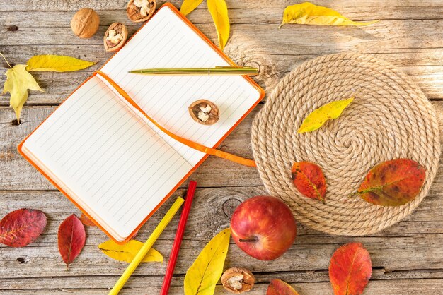 Orange notebook among autumn leaves.