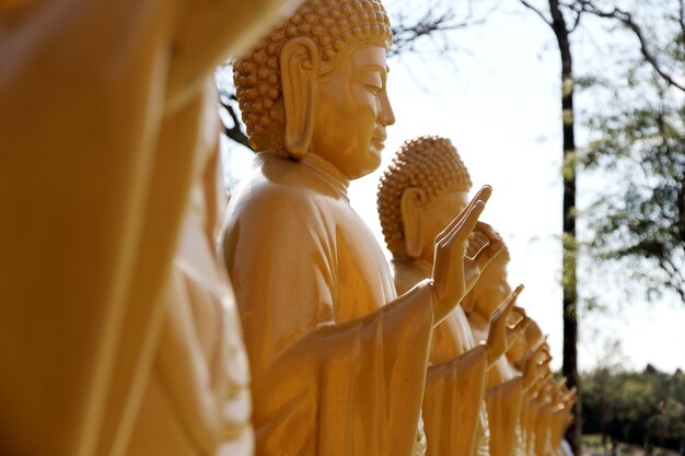 Photo orange outdoor buddha sculptures on the outside of a buddhist temple