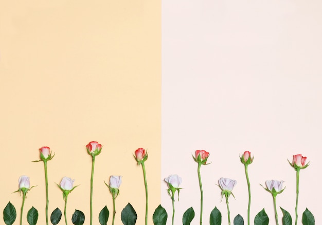 Photo orange and pink background with flowers and leaves