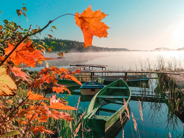 写真 秋の空に照らされた湖のそばのオレンジの植物