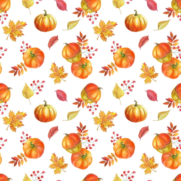 Orange pumpkin,autumn yellow leaves, red rowan berries on white background.