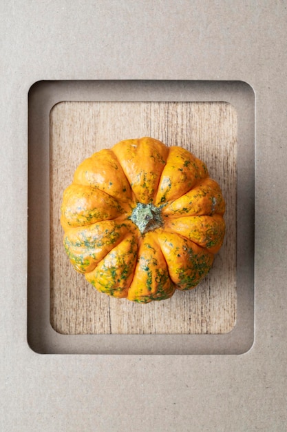 Orange pumpkin in a frame