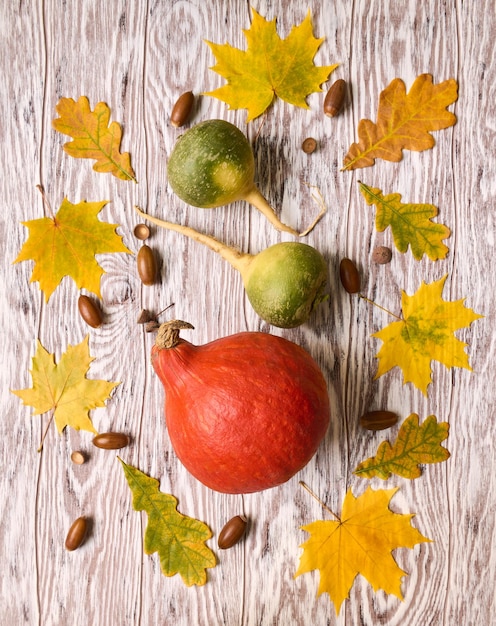 Orange pumpkin and green radish surrounded by fallen autumn leaves on wooden background
