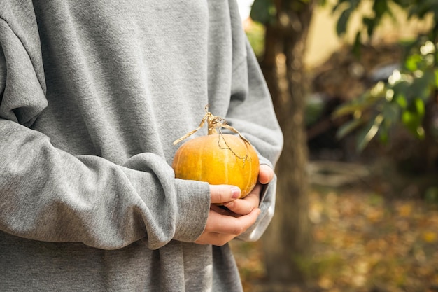 Orange pumpkin in the hands of a child Thanksgiving or Halloween vegetables eco living concept