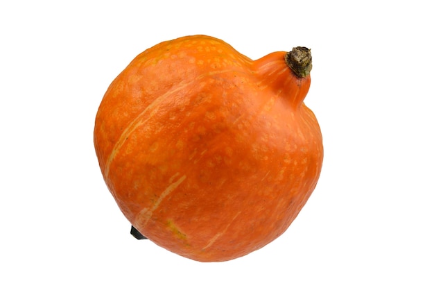 Orange pumpkin isolated on white background.