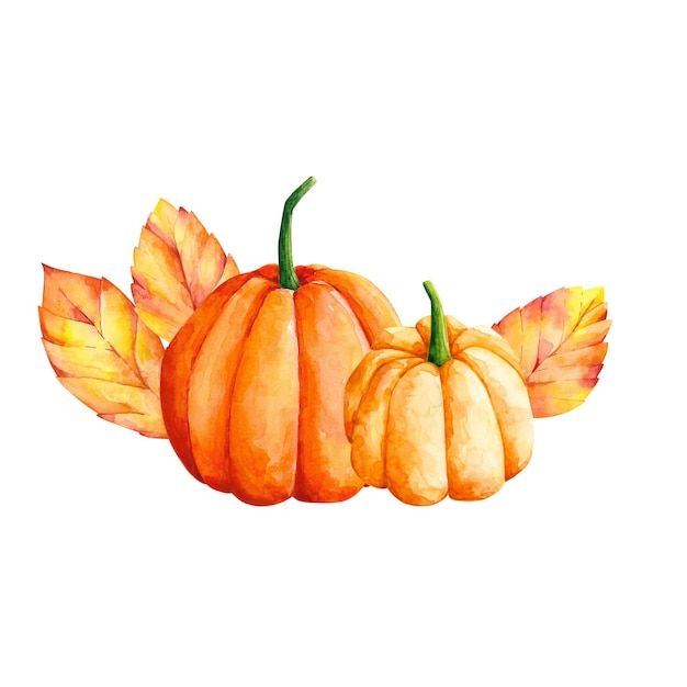 Orange pumpkin leaves isolated on white watercolor autumn fall harvest illustration Vegetable design