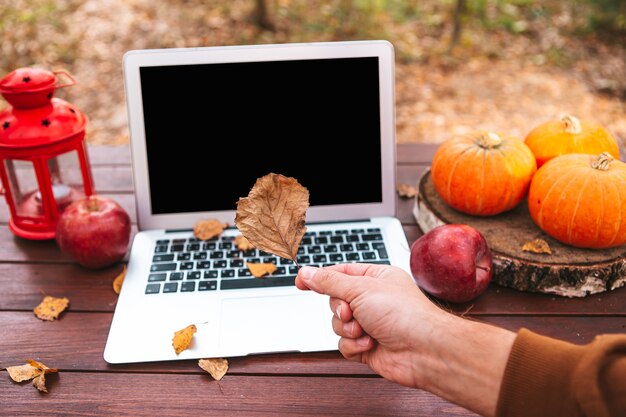 Orange pumpkin and leaves near laptop computer on a table