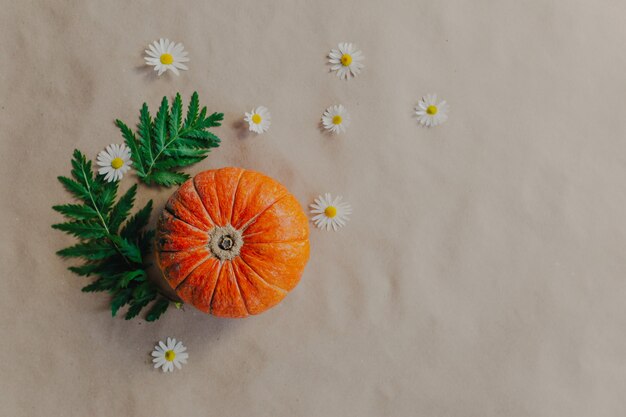 Orange pumpkin on paper background. Halloween decorations with pumpkin and flowers around.