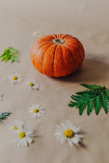 Orange pumpkin on paper background. Halloween decorations with pumpkin and flowers around.