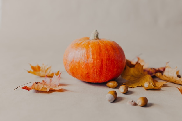 紙の背景にオレンジ色のカボチャ。カボチャと黄色の葉とどんぐりが周りにあるハロウィーンの装飾。