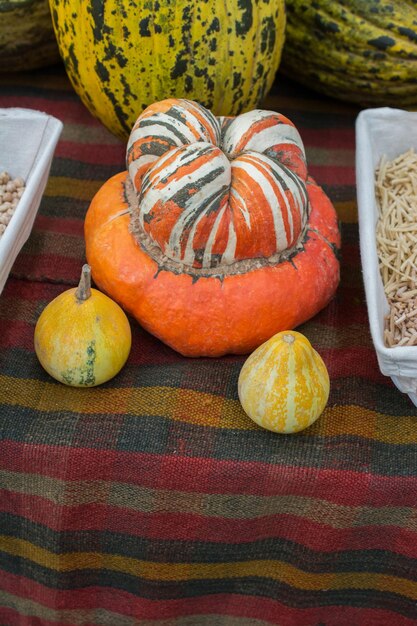 Foto una zucca arancione e due minuscole zucche gialle