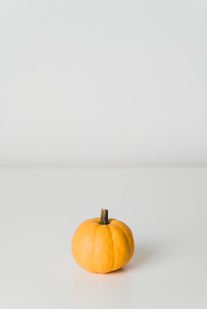 Orange pumpkin on white background with copy space. Fall and autumn