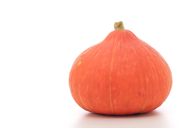 Orange pumpkin on white background