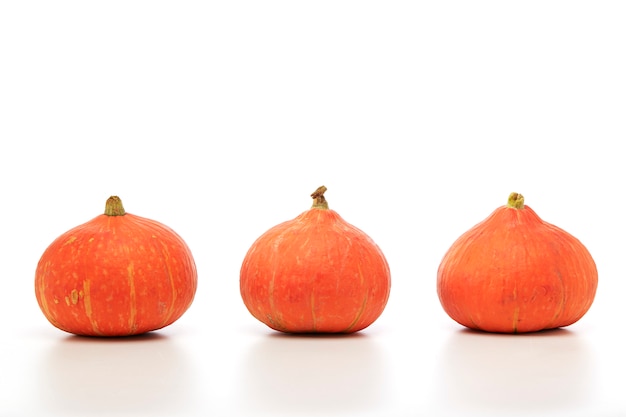 Orange pumpkin on white background