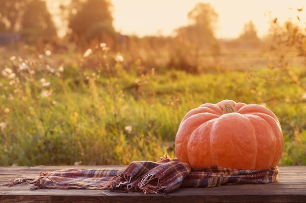Photo orange pumpkin with autumn leaves on wooden table at sunset