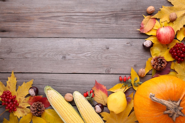 Zucca arancio con le foglie e le verdure su gray