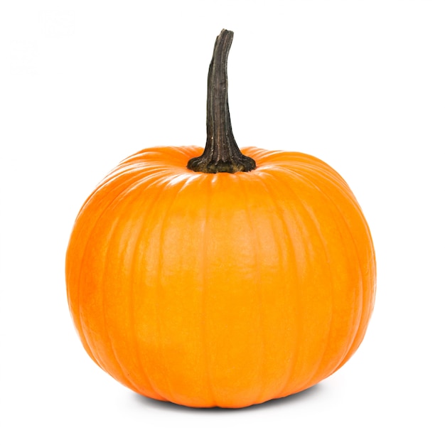 Orange pumpkin