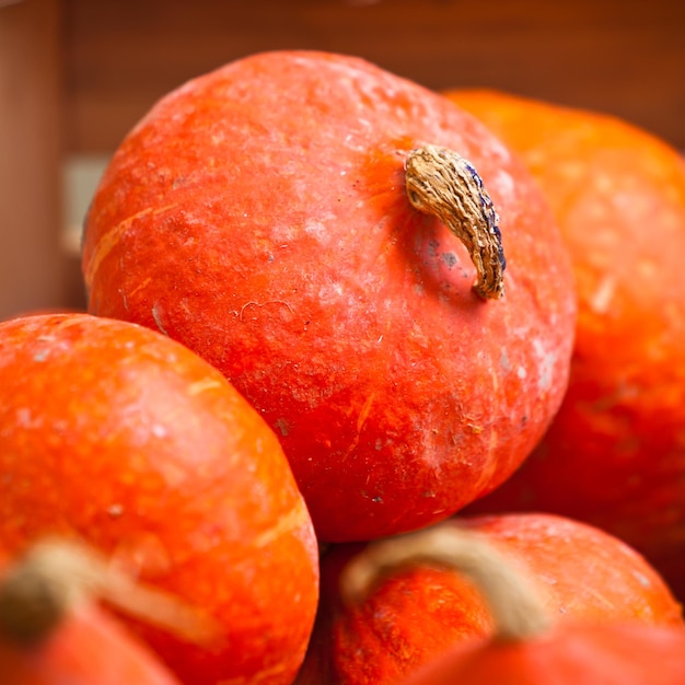 Orange pumpkins in a market