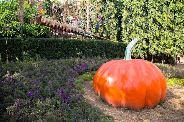 Orange pumpkins in a row in old wooden