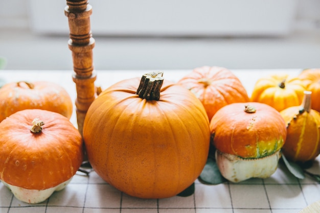 Photo orange pumpkins on white table in cafe