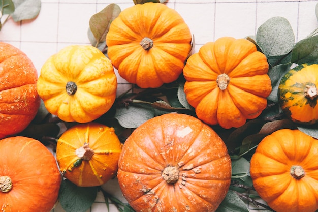 Orange pumpkins on white table in cafe