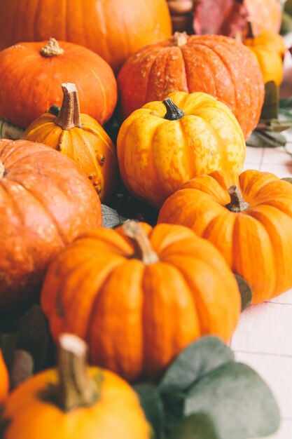 Orange pumpkins on white table in cafe