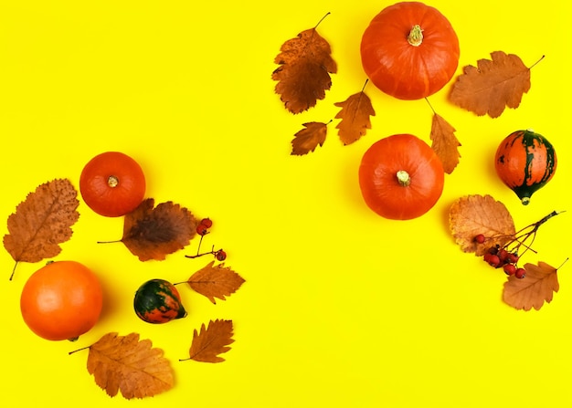 Orange pumpkins with autumn leaves on a yellow background harvest concept halloween top view place for an inscription