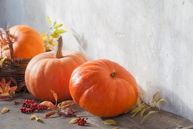 Orange pumpkins on wooden floor