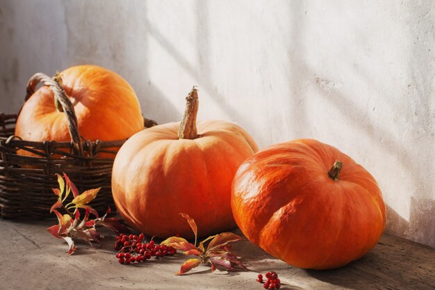 Orange pumpkins on wooden floor