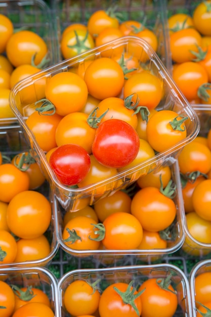 Orange and Red Cherry Tomatoes