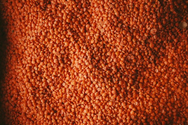 orange red lentils Legumes pulses Orange lentils full background vintage photo processing