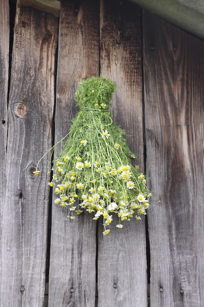 オレンジ色のバラの花をクローズ アップ