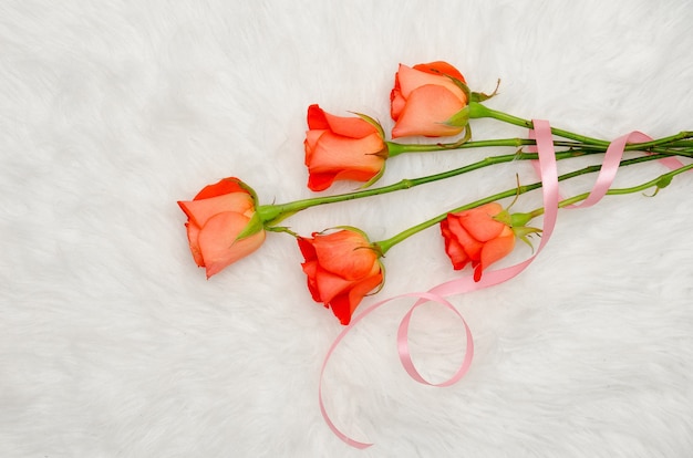 Orange roses on white fur