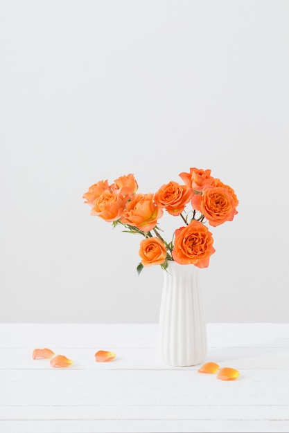 Orange roses in white vase