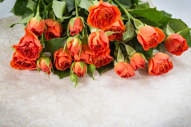 Orange roses