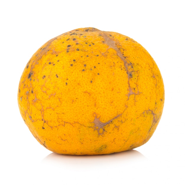 Orange. rotten. dirty. isolated on white background