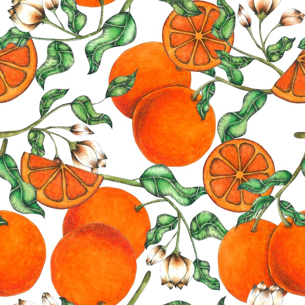 Photo orange seamless pattern hand pained in watercolor