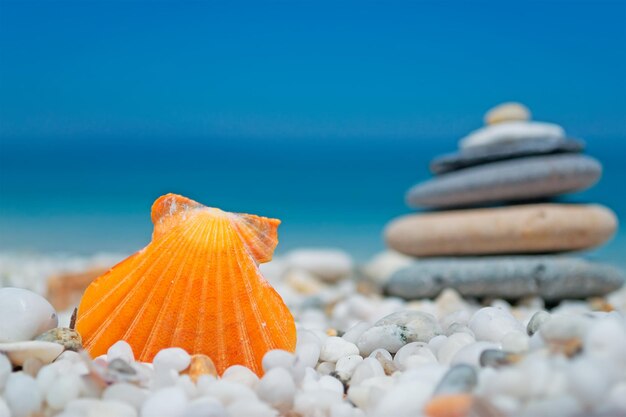 Orange shell and stone pile on a clear day