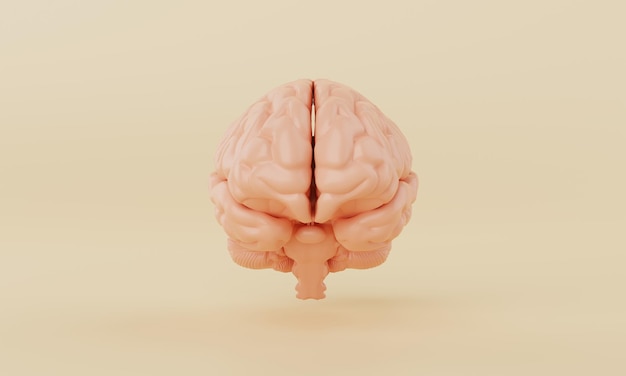 黄色の背景にオレンジ色のシンプルな心の脳モデル医療科学ヘルスケアと抽象的なオブジェクト
