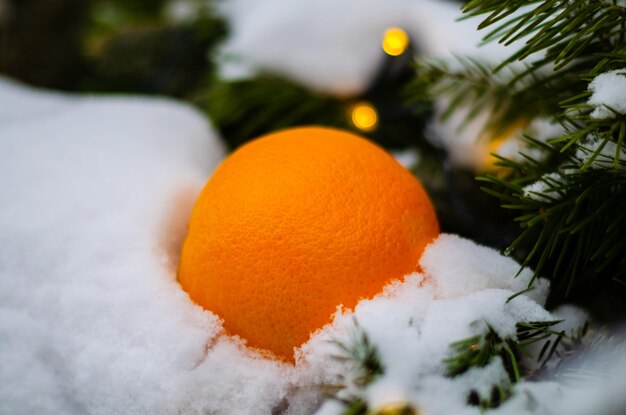 An orange in a snowy wreath with snow on it