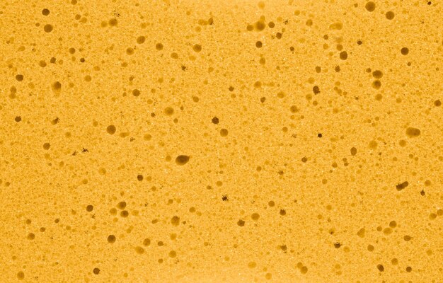 Orange sponge texture background