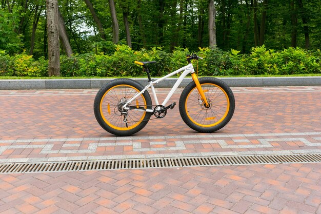 공원의 보도에 주차된 주황색 스포츠 자전거