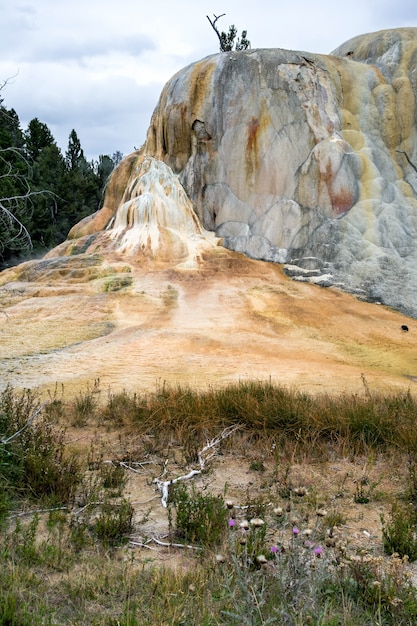 Orange Spring Mound