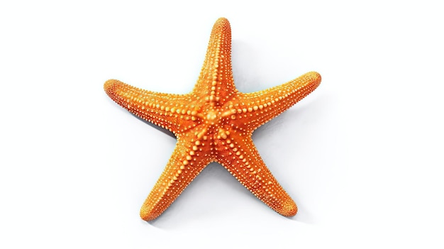 an orange starfish on a white background