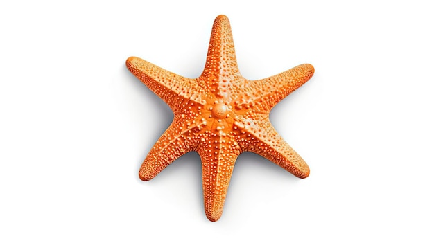 an orange starfish