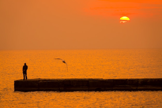 穏やかな海に沈むオレンジ色の夕日。桟橋に釣り竿を持った一人の漁師。波の上のカモメ