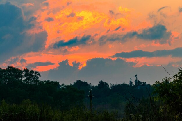 春の牧草地にオレンジ色の夕日