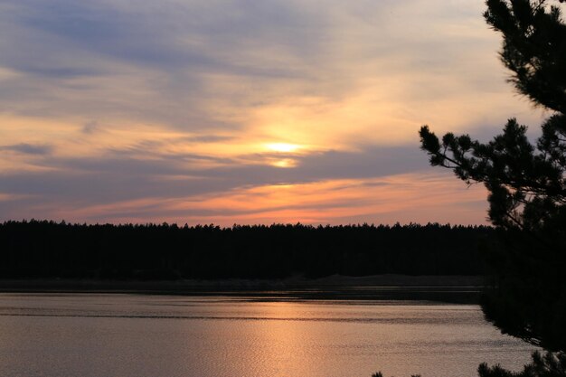 Orange sunset near the forest There is a large lake and conifers nearby A romantic landscape to enjoy nature