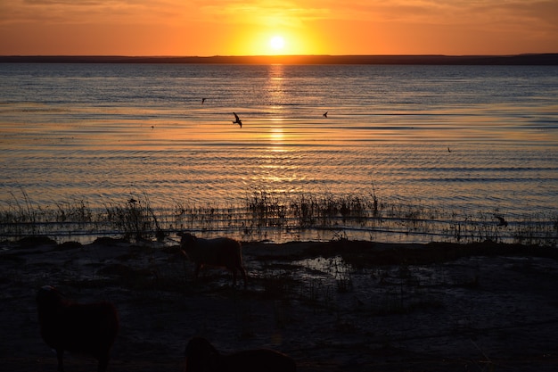 Orange sunset over the Volga river